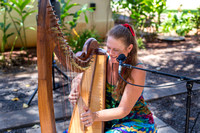 Celtic Harp Under the Banyan Tree  Lahaina Maui