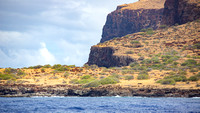 Maui Sailing