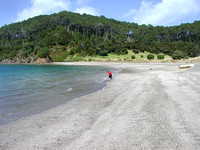 Bay of Island NZ